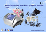 laser professionnel Cryolipolysis de 650nm double Lipo amincissant de grosses machines de retrait de machine