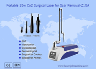 Machine chirurgicale de retrait de cicatrice de peau de laser du CO2 10600nm portatif pour des animaux familiers