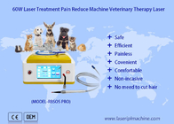 thérapie vétérinaire de laser de la diode 980nm pour la guérison de blessure d'animaux familiers