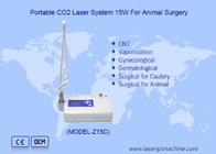 Dispositif de chirurgie au laser de CO2 pour animaux