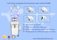Corps Cryolipolysis de forme amincissant la machine, équipement de beauté de Lipo Cryo Cryolipolysis