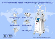 Gros double de congélation Chine Removal Cryolipolysis Machine