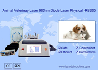 Fonction multifonctionnelle blanche d'utilisation de la diode 980nm de machine portative animale de laser