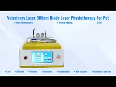 Thérapie vétérinaire de laser de laser de diode de RBS05 980nm pour la guérison de blessure d'animaux familiers