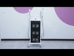 DY18 Diode Laser IPL 3 en 1 machine Nd Yag élimination des tatouages