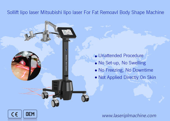 Bon prix beauté portative de la machine 6d Lipolaser Zerona de 220v Cryolipolysis en ligne