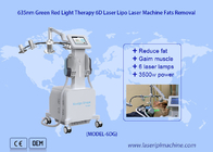 Graisse Laser 6D de bas niveau réduire 532nm vert 635nm thérapie par la lumière rouge dispositif de thérapie Laser froid