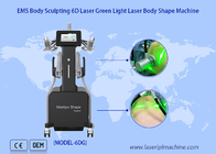 Graisse Laser 6D de bas niveau réduire 532nm vert 635nm thérapie par la lumière rouge dispositif de thérapie Laser froid