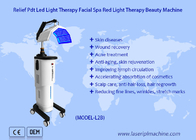 Bio Pdt Led Light Therapy Machine Photodynamique 7 Couleurs
