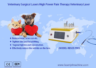 Les animaux familiers font souffrir le dispositif vétérinaire de laser de thérapie de laser de la diode 980nm chirurgicale de récupération