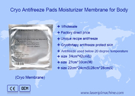 Cryo anti-gel Membrane Pads Resserrement de la peau Blanchiment de l' hydratant Portable