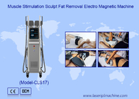 7 Tesla électro magnétique RF Ems stimulation musculaire machine de sculpture du corps