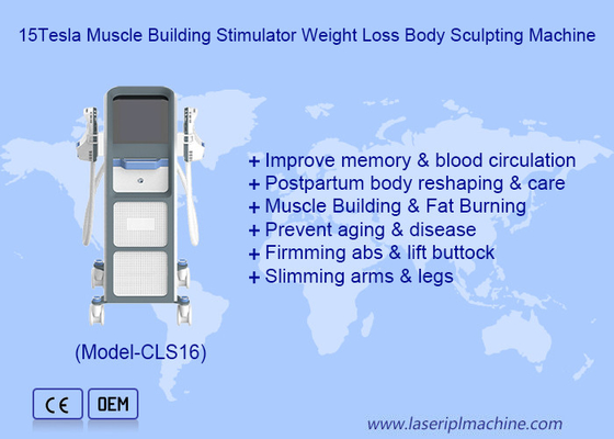 Services de combustion des graisses et d'expédition avec la machine électronique de stimulation musculaire EMS