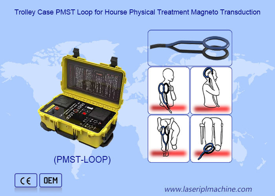 Physiothérapie par magnétisme Thérapie par champ magnétique à oscillation de 4500 Hz