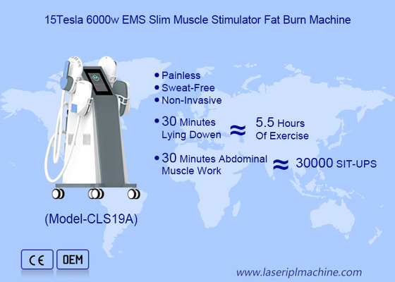 La machine de sculpture Tesla EMS pour la combustion des graisses et la sculpture corporelle