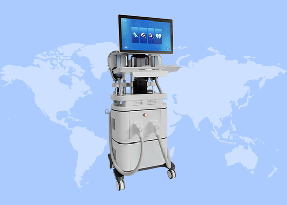 2 en 1 élimination de la cellulite EMS renforcement musculaire cryothérapie machine de perte de poids