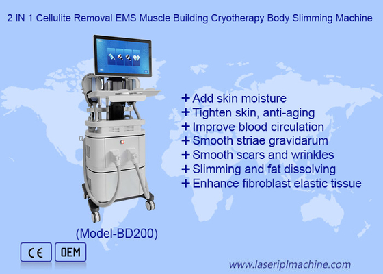 EMS RF Muscle Building 40k Cavitation 360 machine de congélation de graisse de cryothérapie