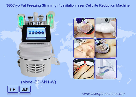 360 Cryo 40K sculpture du corps par cavitation avec double poignée de menton pour éliminer la cellulite