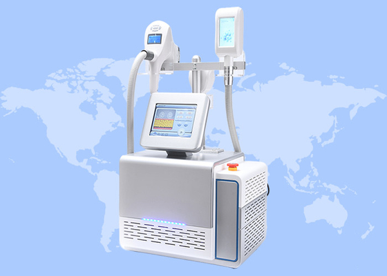 Appareil de perte de poids pour éliminer la cellulite à vide par cryolipolyse portable Rf 3IN1