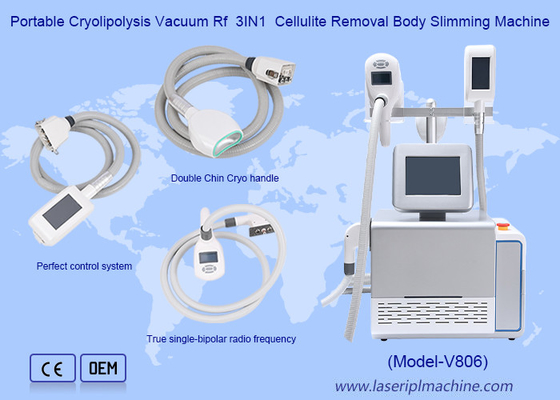 Appareil de perte de poids pour éliminer la cellulite à vide par cryolipolyse portable Rf 3IN1