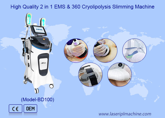 40k Cryolipolysis électromagnétique amincissant le muscle de machine gagnent le gain gelé