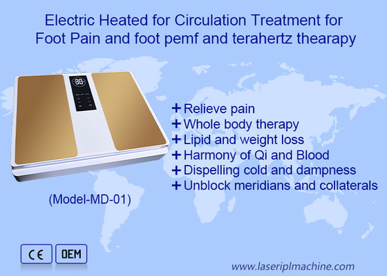 2 en 1 EMS Terahertz Soins de santé pour le massage des pieds Terahertz Therapy Machine