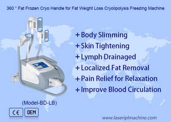 Machine de cryolipolyse à 3 poignées pour le double menton et l'amincissement du corps