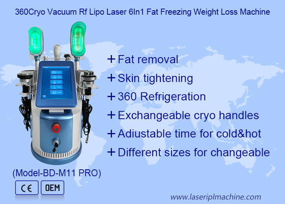 650nm - 550nm Cryolipolysis amincissant la machine pour la formation de corps/peau Tigtening