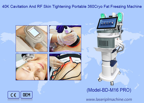 Congélation professionnelle de graisse de cryolipolysis/cryolipolysis amincissant la machine