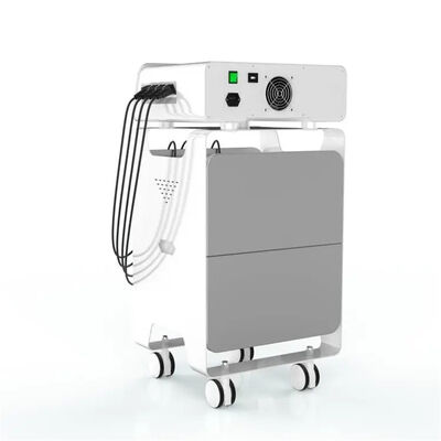 Bon prix Soins de santé de soulagement de douleurs de dos d'équipement d'Eswt de radiofréquence de SME en ligne