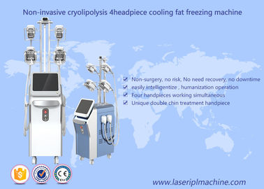 Grosse perte de congélation de Cryolipolysis amincissant la machine de la cavitation rf de vide de machine