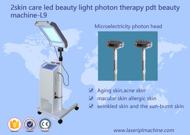 10HZ 415mm soins de la peau lifting du visage PDT LED beauté Light Therapy Machine