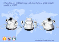 3 Handpieces Cryolipolysis amincissant l'équipement CR02 de beauté de perte de poids de machine