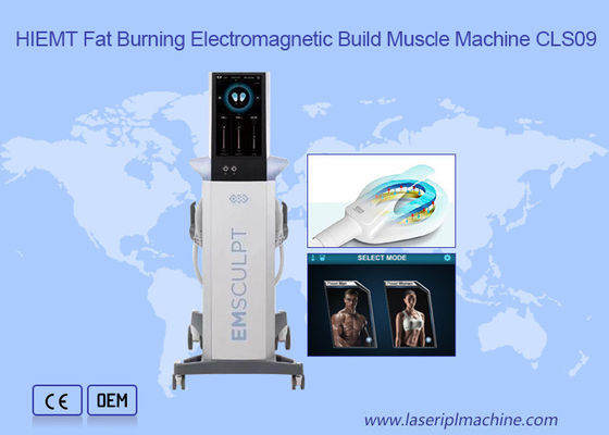 Grosse machine électromagnétique brûlante de Hiemt de muscle de construction