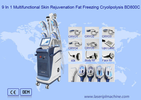 40K laser Cryo de la cavitation rf Lipo amincissant la machine