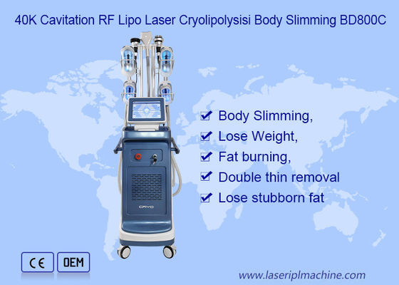 9 dans 1 vide 800VA Cryolipolysis amincissant la machine