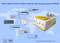 épilation de laser de diode de 650nm 810nm 980nm 1064nm portative pour l'usage animal