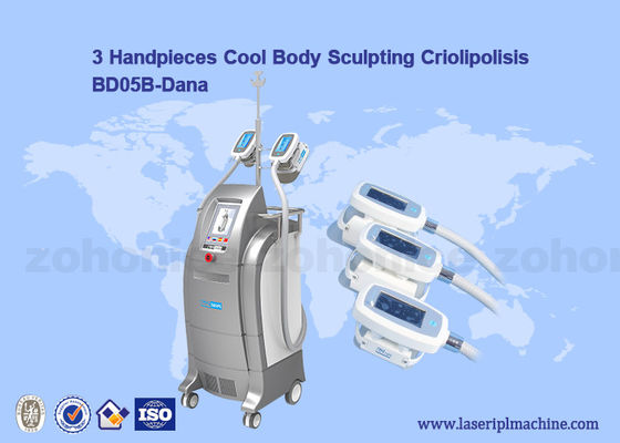 Bon prix Nettoyez à l'aspirateur Cryolipolysis/corps frais sculptant la machine de réduction de membrane/cellulites de Criolipolisis en ligne