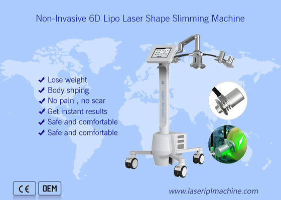 Bon prix 532nm non envahissant Cryolipolysis amincissant la beauté de la perte de poids 6d de corps entier de machine en ligne