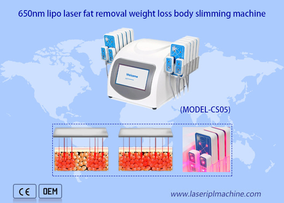 Corps portatif d'Ultrashape de machine de laser de 650nm Lipo amincissant la perte de poids