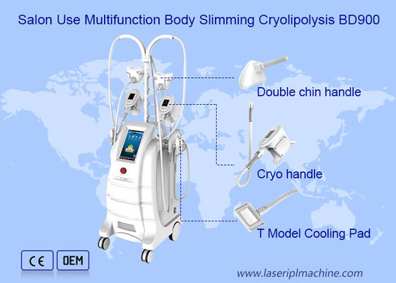 Bon prix Perte de poids Cryolipolysis amincissant la grosse liposuccion de congélation 80kpa de machine en ligne