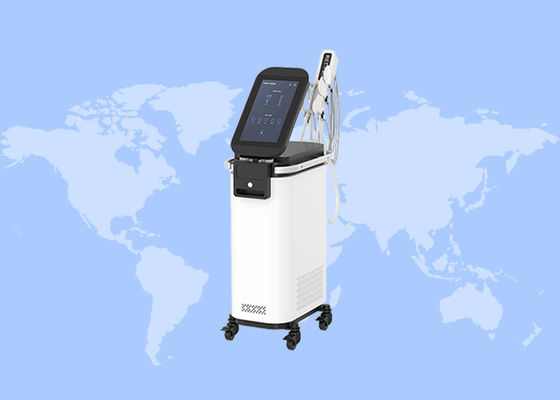 Bon prix RET Face Sacs anti-œil élimination des rides massage du visage EMS RF machine de soins du visage en ligne