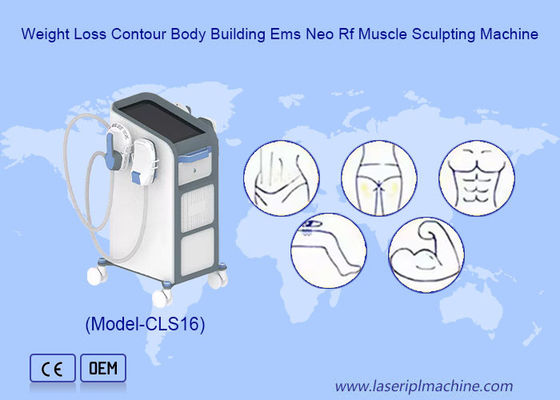 Bon prix 2pcs Petite poignée pour les bras et les jambes Ems Stimulateur musculaire fesses Équipement 1-100 Hz en ligne