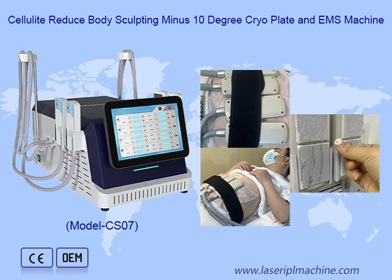 2 en 1 Cryo-plaque et EMS machine de perte de poids pour le gel des graisses et le resserrement de la peau