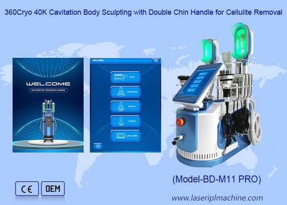 650nm - 550nm Cryolipolysis amincissant la machine pour la formation de corps/peau Tigtening