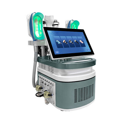 Corps froid portatif sculptant la machine fraîche de Cryolipolysis SlimmingShaping