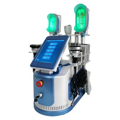 650nm - 550nm Cryolipolysis amincissant la machine pour la formation de corps/peau Tigtening
