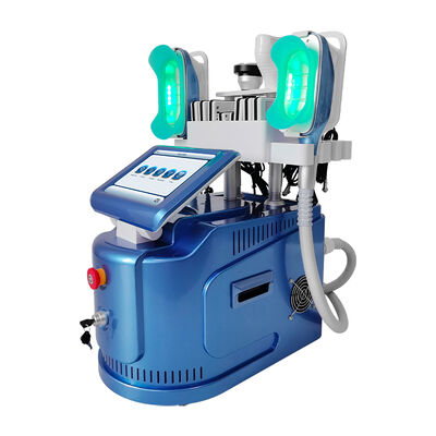 Bon prix 650nm efficaces Cryolipolysis amincissant la machine pour la formation de corps/peau serrent en ligne