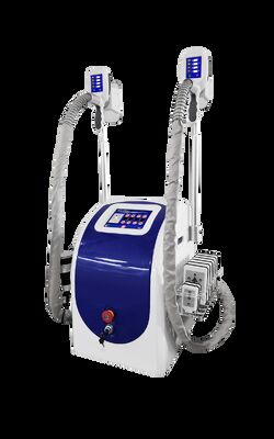 Bon prix Corps sculptant Cryolipolysis amincissant la machine portative de perte de poids de style de machine en ligne