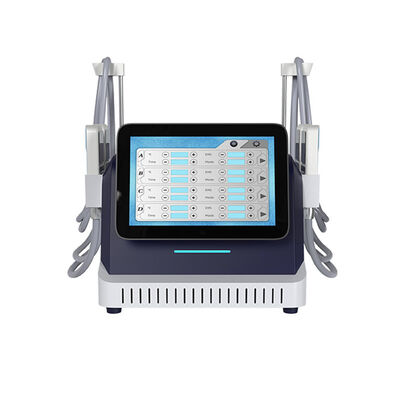 2 en 1 Cryo-plaque et EMS machine de perte de poids pour le gel des graisses et le resserrement de la peau